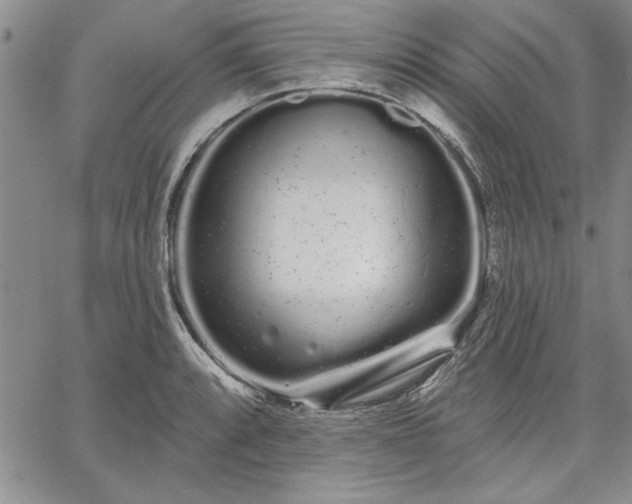 X0000064721088200602171610