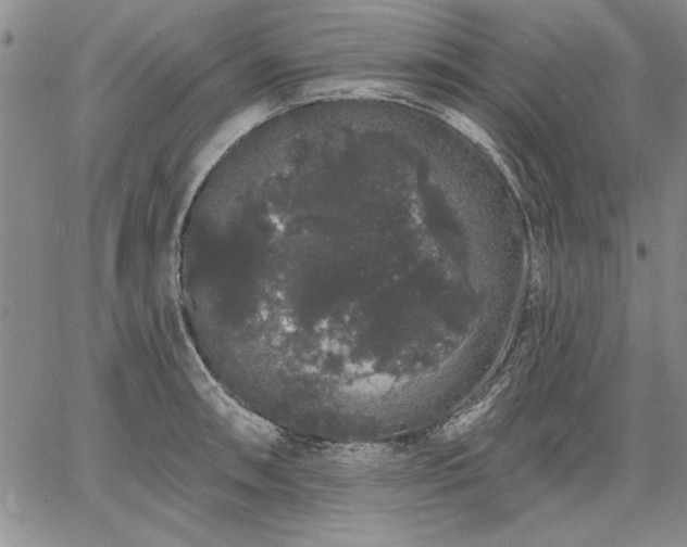 X0000064721090200602171610