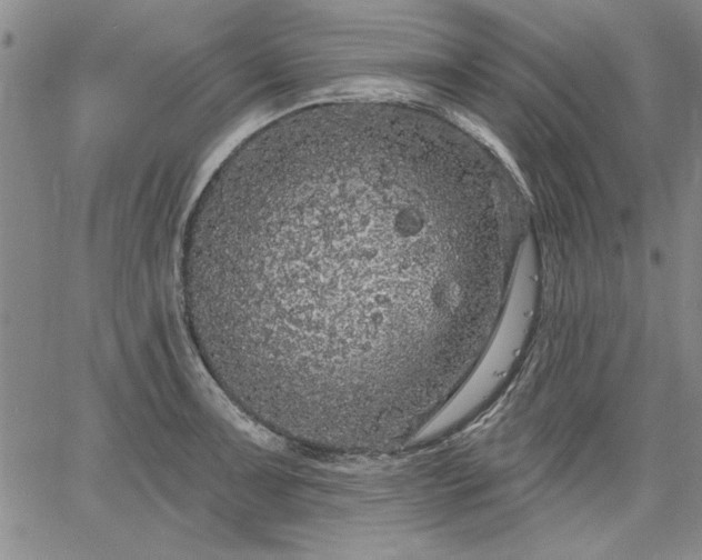 X0000064721091200602171610