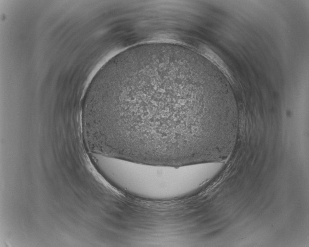 X0000064721092200602171610