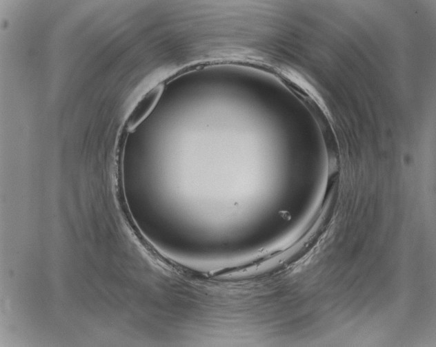 X0000064721093200602171610