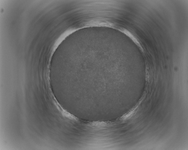 X0000064721094200602171610