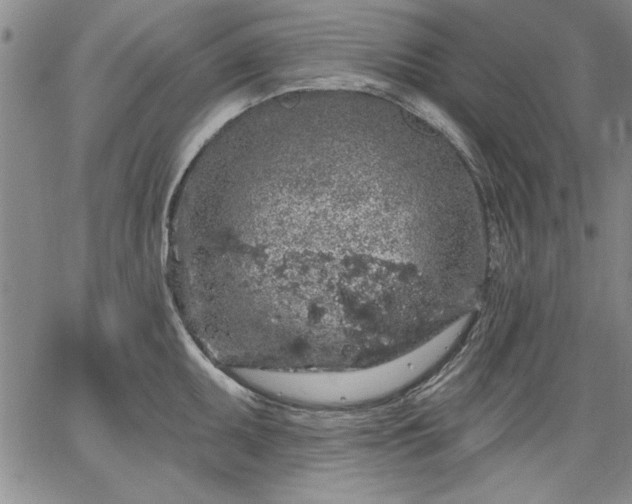 X0000064721095200602171610