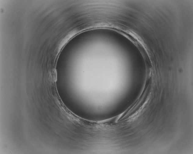 X0000064721097200602171609