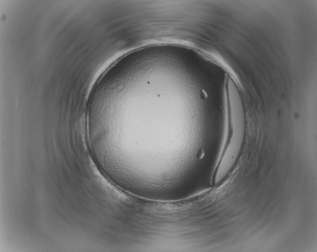 X0000064721100200602171609