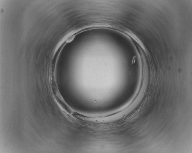 X0000064721101200602171609