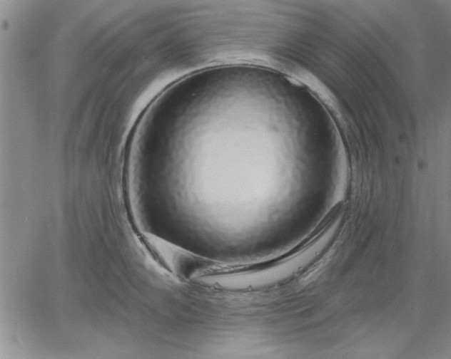 X0000064721102200602171609