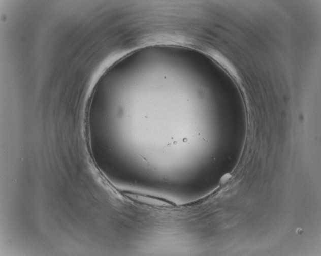 X0000064721104200602171609