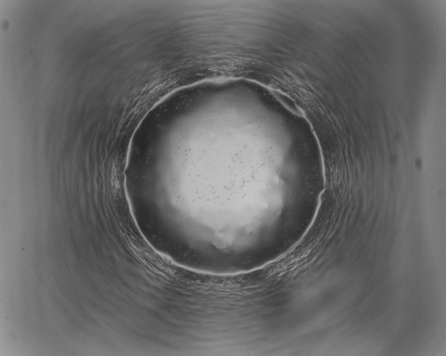 X0000064721106200602171609