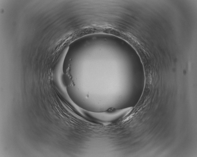 X0000064721110200602171609