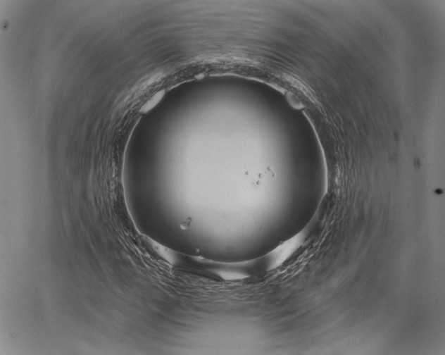 X0000064721111200602171609