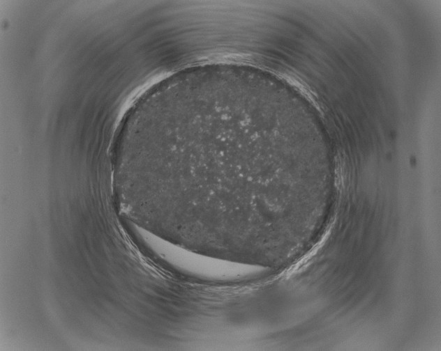 X0000064721117200602171609