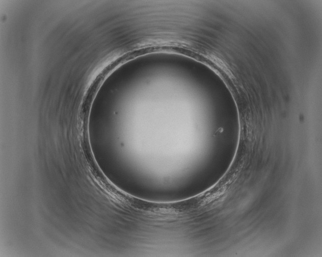 X0000064721119200602171609