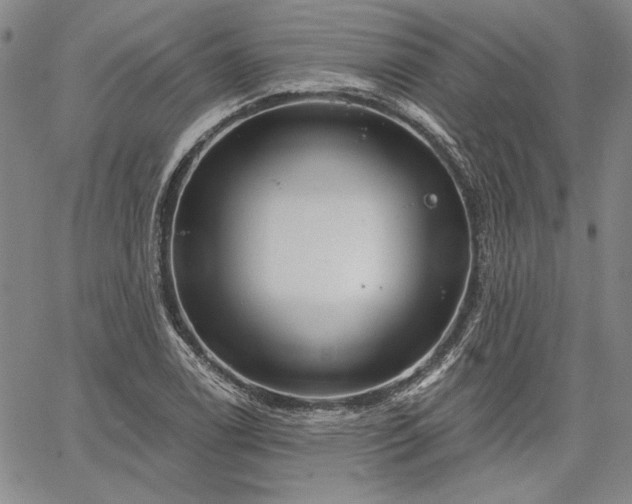 X0000064721122200602171609