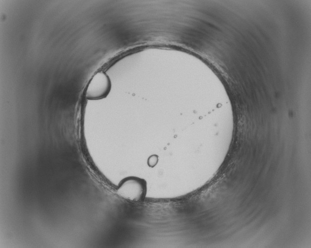 X0000064721126200602171609