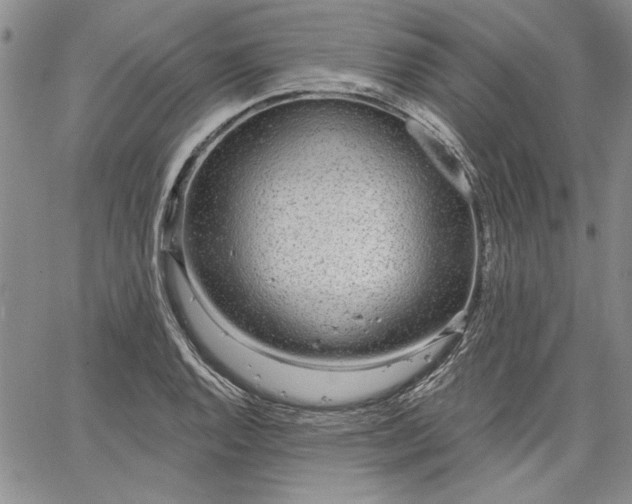 X0000064721128200602171609