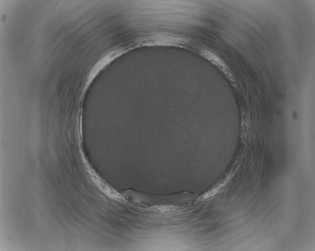 X0000064721130200602171609