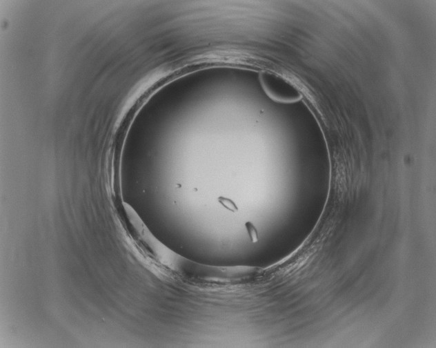 X0000064721131200602171609