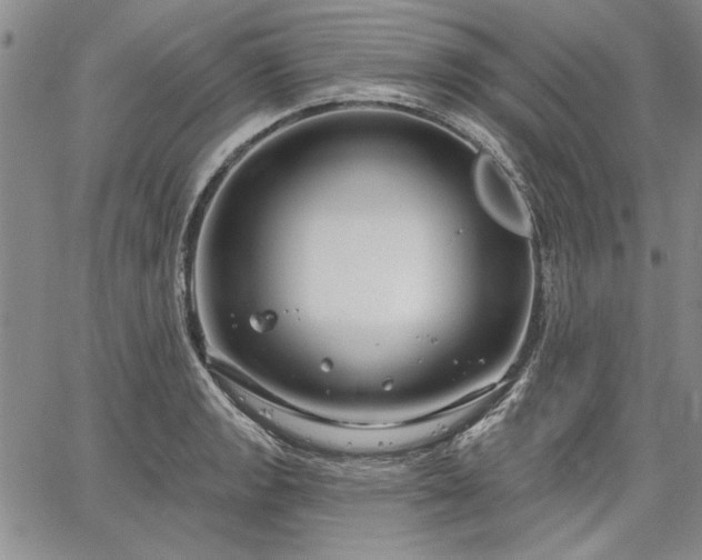 X0000064721133200602171609