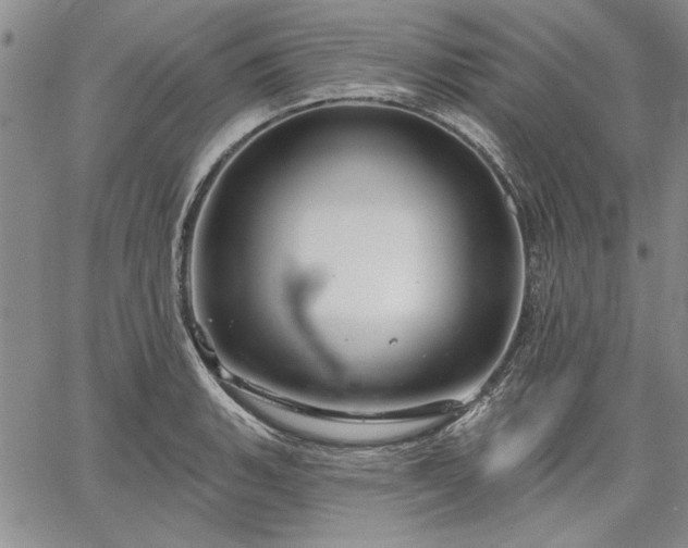 X0000064721135200602171609