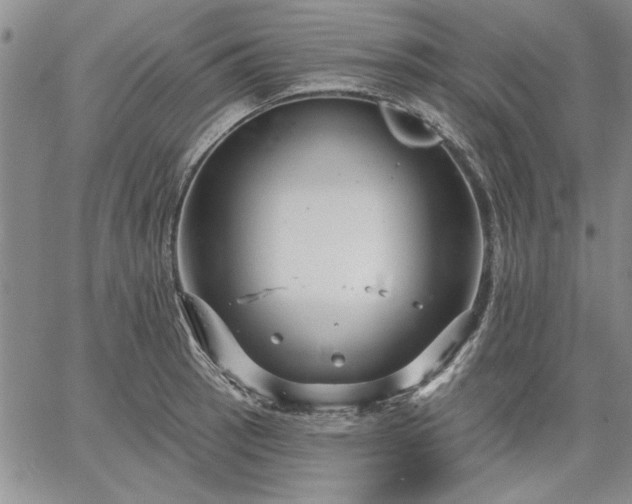 X0000064721137200602171609