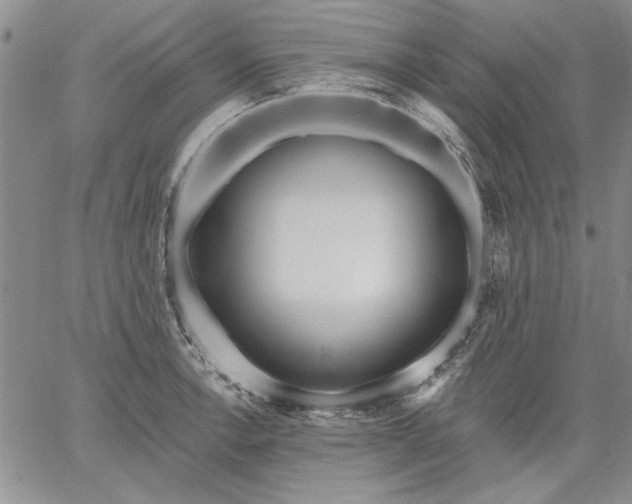 X0000064721138200602171609