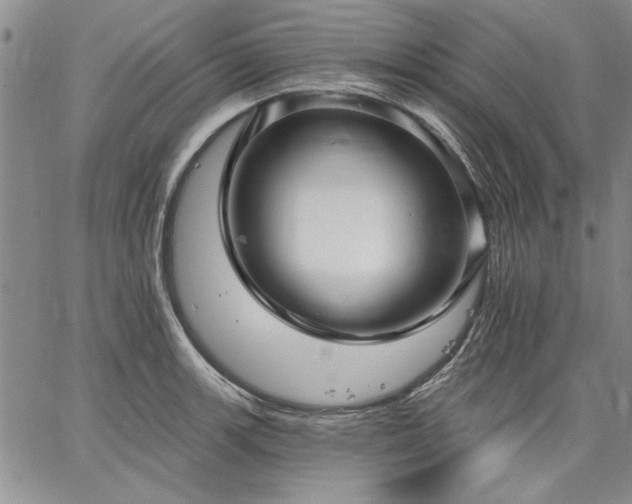 X0000064721139200602171609