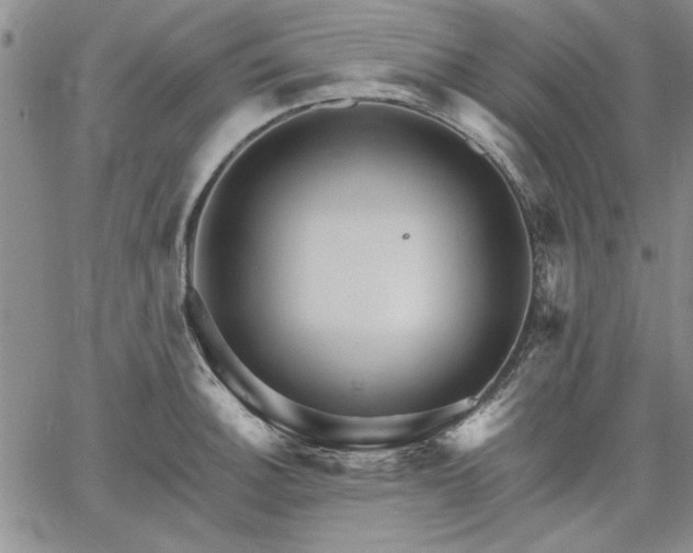 X0000064721140200602171609