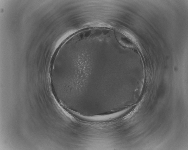 X0000064721141200602171609