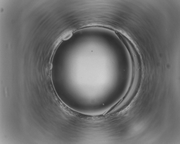 X0000064721145200602171609