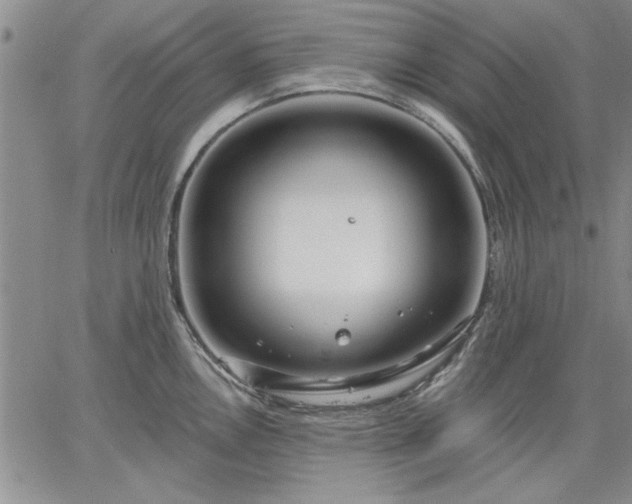 X0000064721146200602171609