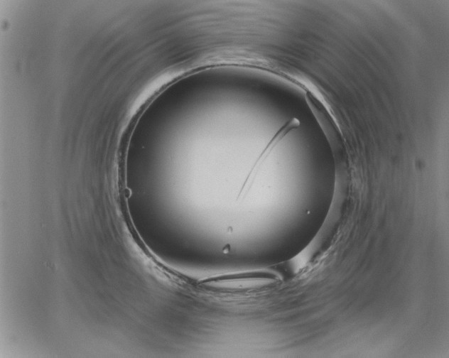 X0000064721147200602171609