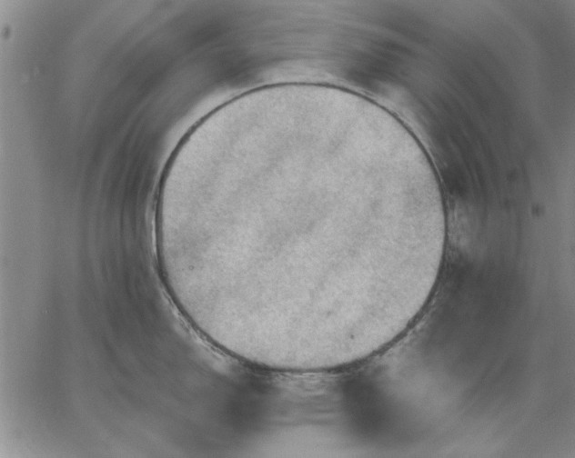 X0000064721150200602171609