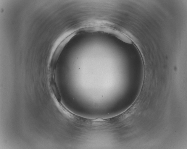 X0000064721152200602171609