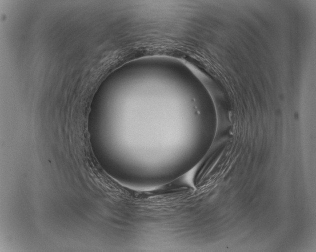 X0000064721153200602171609