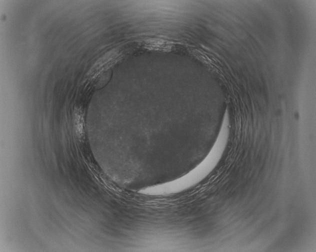 X0000064721154200602171609