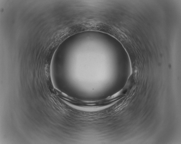 X0000064721156200602171609