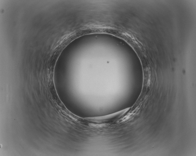 X0000064721157200602171609