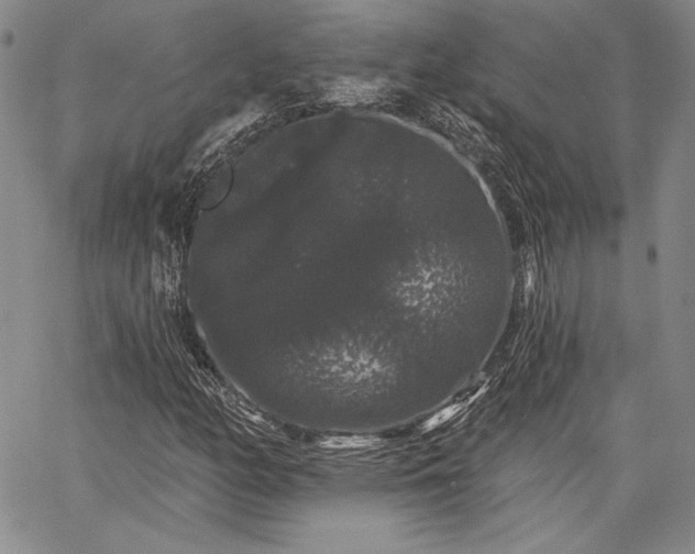 X0000064721158200602171608