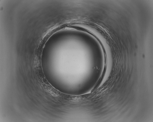 X0000064721160200602171608