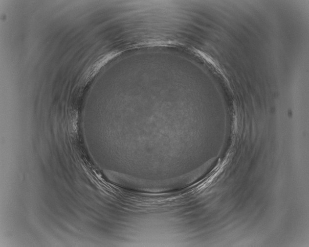 X0000064721161200602171608