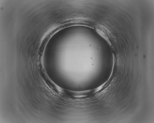 X0000064721164200602171608