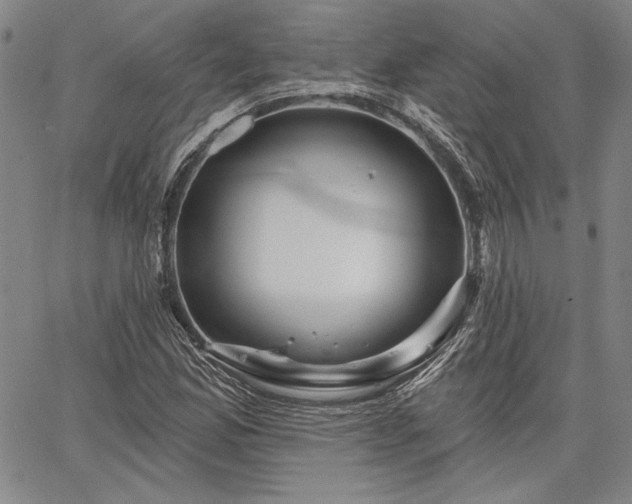 X0000064721165200602171608