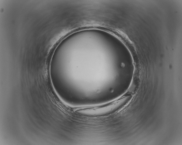 X0000064721167200602171608