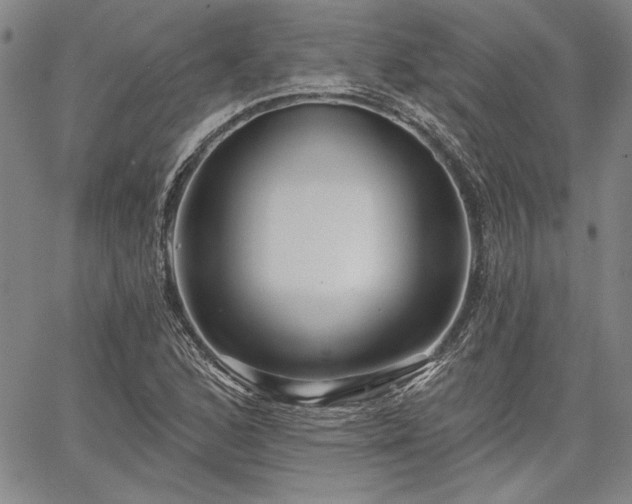 X0000064721168200602171608