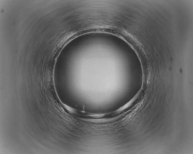 X0000064721169200602171608