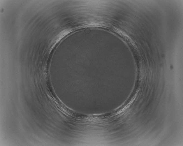 X0000064721170200602171608