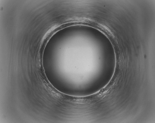 X0000064721172200602171608