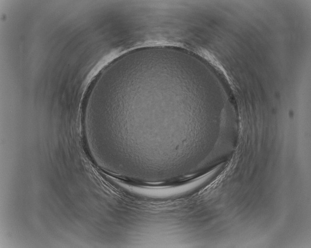 X0000064721173200602171608