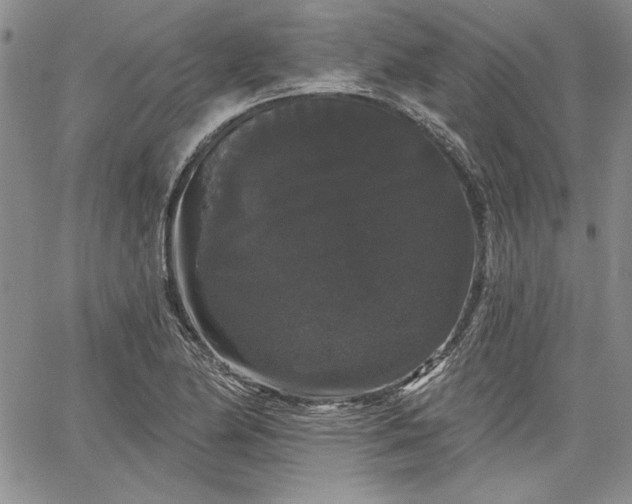 X0000064721174200602171608